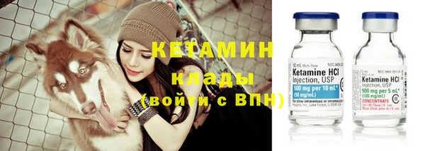 шишки Белокуриха