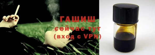 шишки Белокуриха