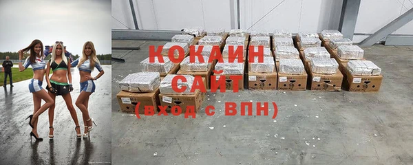 шишки Белокуриха
