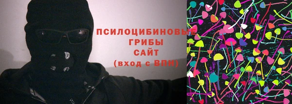 шишки Белокуриха