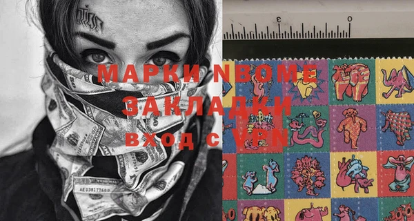 шишки Белокуриха