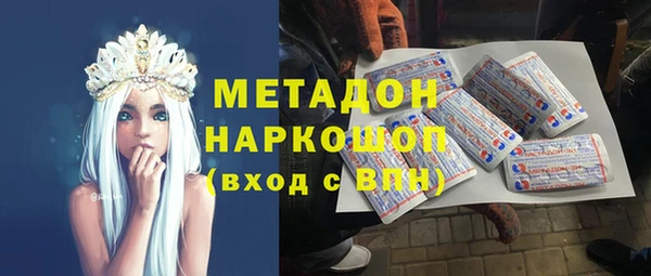шишки Белокуриха