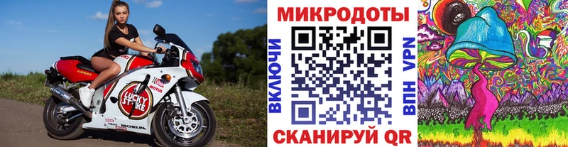 мега tor  Саяногорск  Псилоцибиновые грибы GOLDEN TEACHER 